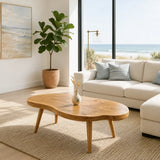 Living room coffee table with soft asymmetrical edges and tapered legs for relaxed spaces