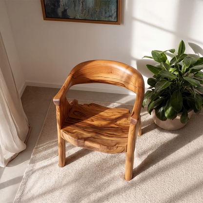 Soft sunlight highlights a sculpted wooden armchair in a clean and modern living environment